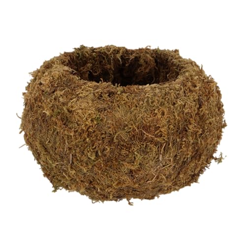 Esschert Kokedama Moos-Kugel L Ø 19,8 cm von Esschert Design