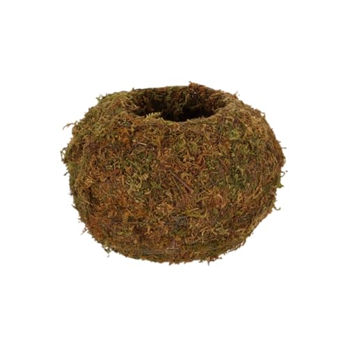 Esschert Kokedama Moos-Kugel M Ø 14,5 cm von Esschert Design