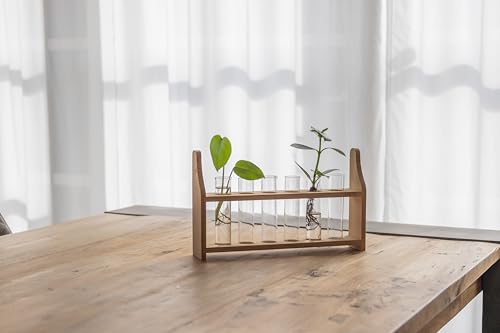 Reagenzglasständer, mittelgroß Reagenzglasständer, mittelgroß von Esschert Design