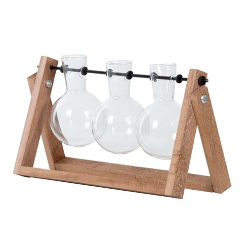 Esschert Design Steckling Vasen L zum Aufhängen Holz Gestell Glas Tisch Aufzucht Ständer Blumen von Esschert Design