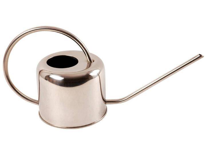 esschert design Gießkanne (Set, 5-tlg), Wasserkanne in Chrom aus Stahl, schlankes Design, silberfarben, 5 tlg. von Esschert-Design
