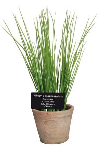 Esschert Design Kunststoffpflanze Schnittlauch im Topf, Größe L, ca. 11 cm x 11 cm x 19 cm von Esschert Design