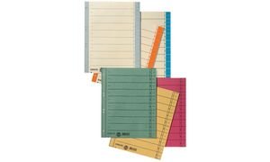 Esselte Karton-Trennblätter, DIN A4 Überbreite, chamois von Esselte