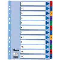 Esselte Ordnerregister Vollformat 1-12 farbig 12-teilig, 1 Satz von Esselte