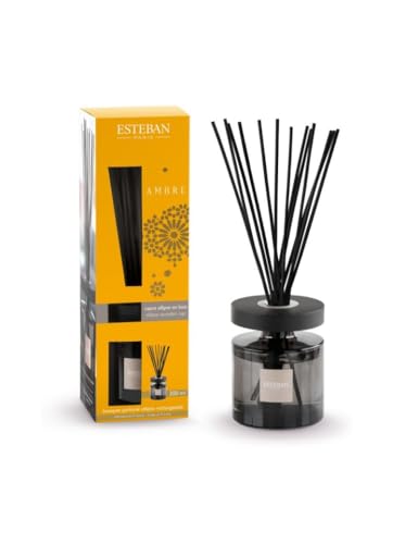 ESTEBAN - Duftstrauß Ellipse - Ambre - 200 ml von Esteban