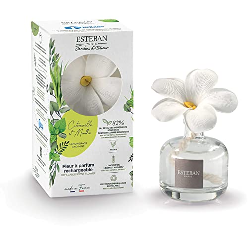 ESTEBAN Paris Citronelle et Menthe Citronella und Minze Bouquet Duftblume mit Nachfüllpackung 100 ml von Esteban