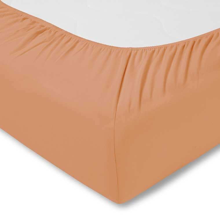 Estella Baumwolle Feinjersey Spannbettlaken 180x200 cm - 200x200 cm Apricot von Estella