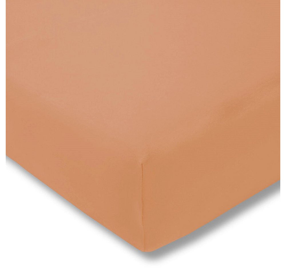 Estella Spannbettlaken Estella Zwirn-Jersey Spannbettlaken 150/200 apricot Estella Spannbettlaken Estella Zwirn-Jersey Spannbettlaken 150/200 apricot von Estella