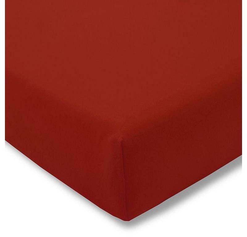 Estella Spannbettlaken Estella Zwirn-Jersey Topper 150/200 purpur Estella Spannbettlaken Estella Zwirn-Jersey Topper 150/200 purpur von Estella