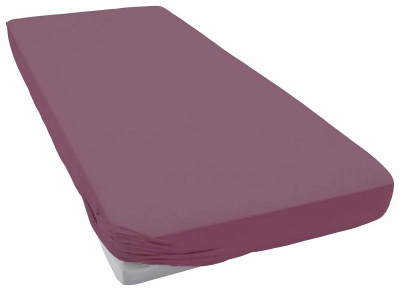 Estella Spannbettlaken Jersey Topper aus Baumwolle mit Elasthan, Jersey, Gummizug: rundum, (1 Stück), für Topper bis 10 cm Höhe von Estella