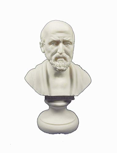 Hippokrates-Büste / Skulptur des „Vaters der modernen Medizin“, Reproduktion im altgriechischen Stil von Estia Creations