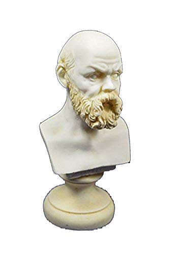 Socrates Skulptur Statue Büste Gründer der westlichen Philosophi Artefakt von Estia Creations