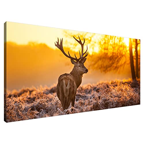 Estika® Leinwand bilder - Hirsch - 115x55 cm, 1 teilige kunstdruck - Wandbilder wohnzimmer, schlafzimmer, Moderne wanddeko, Bild auf leinwand - Hirsch bilder - 1281A_1AE von Estika