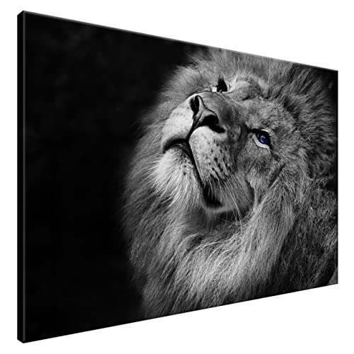 Estika® Leinwand bilder - Schwarz-weißer Löwe, Blau Augen - 120x80 cm, 1 teilige kunstdruck - Wandbilder wohnzimmer, schlafzimmer, Moderne wanddeko, Bild auf leinwand - Tiere bilder - 3123A_1B von Estika