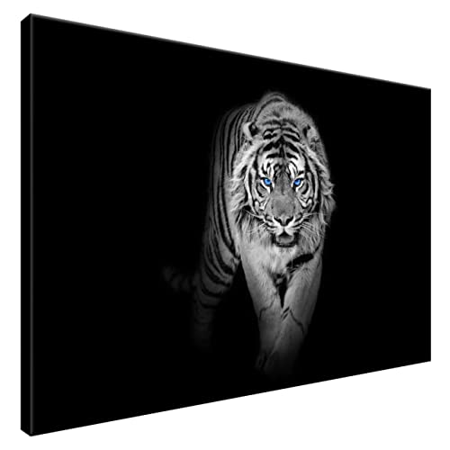 Estika® Leinwand bilder - Schwarz-weißer Tiger, Blau Augen - 90x60 cm, 1 teilige kunstdruck - Wandbilder wohnzimmer, schlafzimmer, Moderne wanddeko, Bild auf leinwand - Tiere bilder - 4968A_1L von Estika