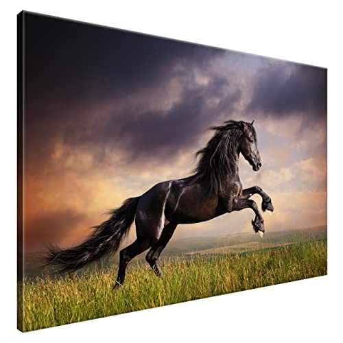 Estika® Leinwand bilder - Schwarzes Pferd, Wiese - 120x80 cm, 1 teilige kunstdruck - Wandbilder wohnzimmer, schlafzimmer, Moderne wanddeko, Bild auf leinwand - Tiere bilder - 1149A_1B von Estika