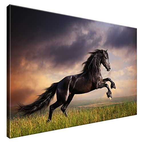 Estika® Leinwand bilder - Schwarzes Pferd, Wiese - 90x60 cm, 1 teilige kunstdruck - Wandbilder wohnzimmer, schlafzimmer, Moderne wanddeko, Bild auf leinwand - Tiere bilder - 1149A_1L von Estika