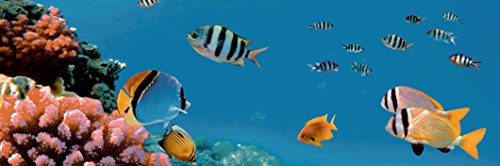 estilker Aquarium 1 Dekoration aus Keramik mit Digitaldruck estilker Aquarium 1 Dekoration aus Keramik mit Digitaldruck von Estilker