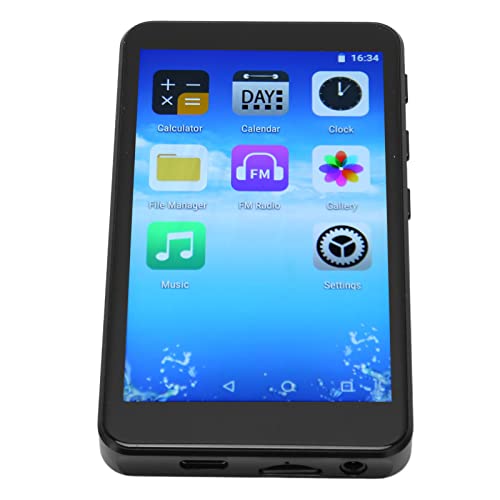 Estink 5.0 MP4 Player Recorder mit Dem Ladeanschluss Vom Typ C und Dem IPS -HD -Bildschirm, Geeignet für die Tonaufnahme, 480x800 Auflösung (64GB) von Estink