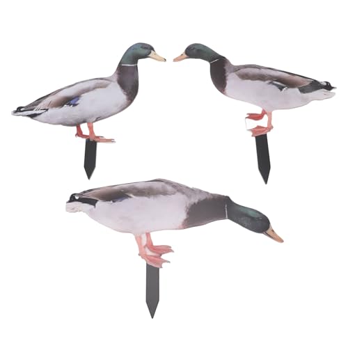 Estink Animal Garden Stakes wasserdichte Dekorative Statuen Doppelseitig Gemahlener Bodenstopfen für Gartengarten Rasenliebhaber Kunststoff 3 Packung (Ente) von Estink