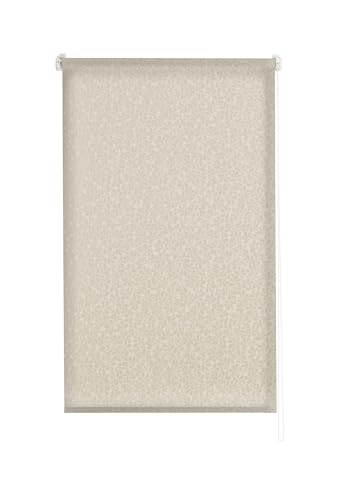 Estoralis | Sandor| Modernes Design-Rollo ohne Werkzeug | Lichtdurchlässig Stoff | Beige | 100 x 150 cm (Breite/Höhe) Stoffgröße 97 x 150 cm | Rollos für Fenster und Türen Estoralis | Sandor| Modernes Design-Rollo ohne Werkzeug | Lichtdurchlässig Stoff | Beige | 100 x 150 cm (Breite/Höhe) Stoffgröße 97 x 150 cm | Rollos für Fenster und Türen von Estoralis