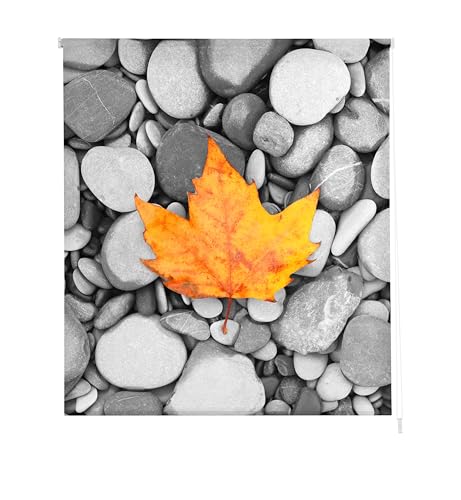 Estoralis Z-3041 Basic Rollo lichtdurchlässig Digital, Stoff, 130 x 175 cm Estoralis Z-3041 Basic Rollo lichtdurchlässig Digital, Stoff, 130 x 175 cm von Estoralis