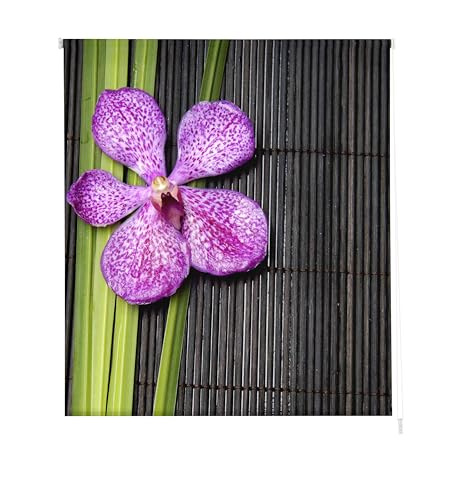 Estoralis | Zen | Modernes Design-Rollo | Digital bedruckter Stoff | Z-1061 Mehrfarbig | 130 x 255 cm. (Breite/Höhe) Stoffgröße 127 x 250 cm. | Rollos für Fenster und Türen von Estoralis