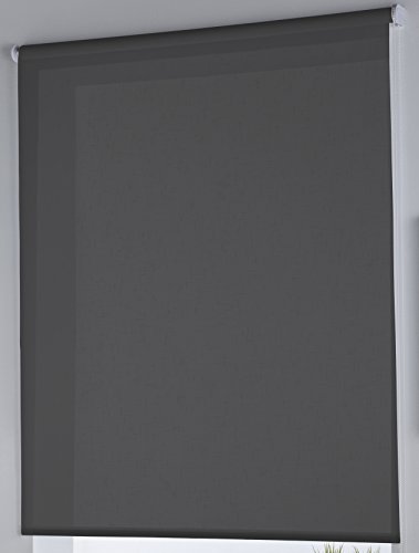 Rollertor Dresde, Rollo transparent glatt, 150 x 175 cm, Anthrazit-farbe Rollertor Dresde, Rollo transparent glatt, 150 x 175 cm, Anthrazit-farbe von Zebra Textil