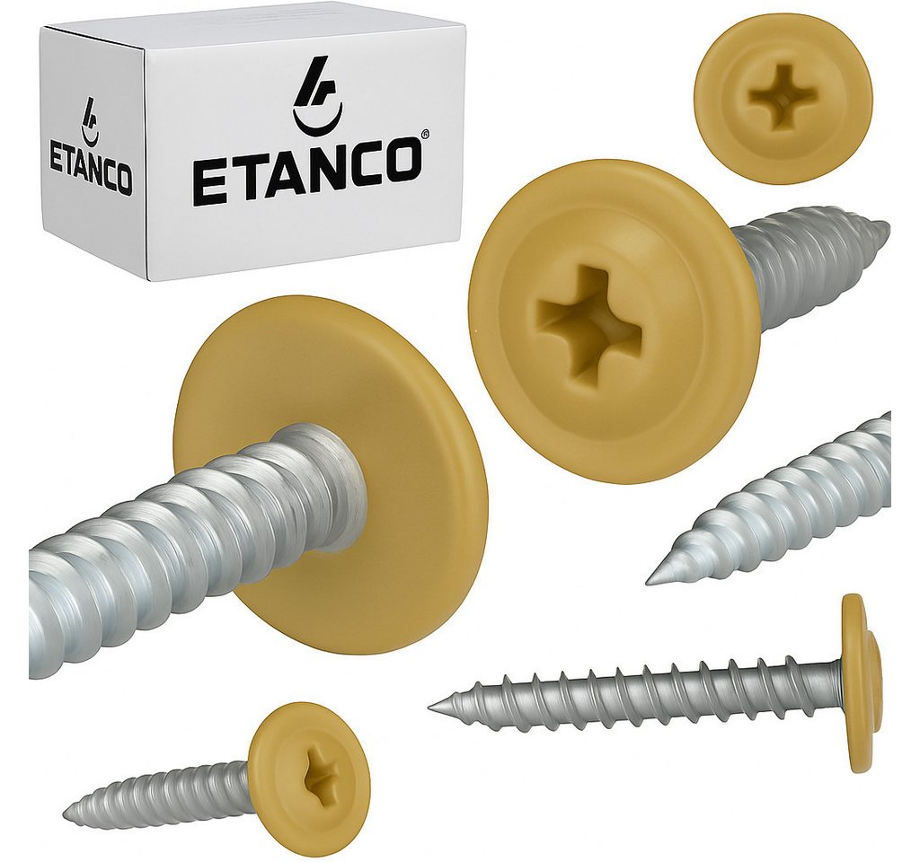 Etanco GmbH Blechschraube GM-S Flachkopf in verschiedenen RAL-Farben 4,2 x 16 mm 250 Stück von Etanco GmbH