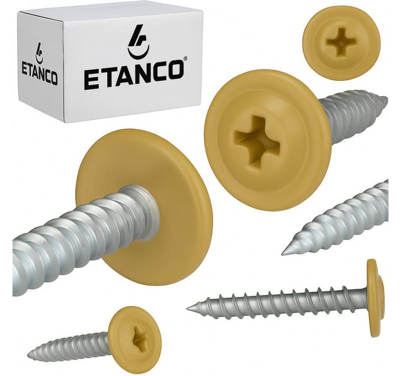 Etanco GmbH Blechschraube GM-S Flachkopf in verschiedenen RAL-Farben 4,2 x 16 mm 250 Stück von Etanco GmbH