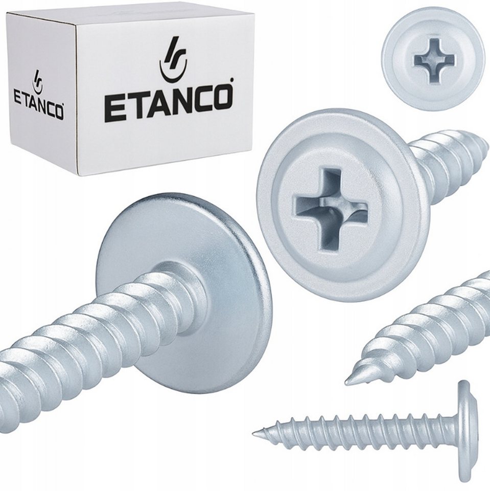 Etanco GmbH Blechschraube GM-S Flachkopf in verschiedenen RAL-Farben 4,2 x 19 mm 250 Stück von Etanco GmbH