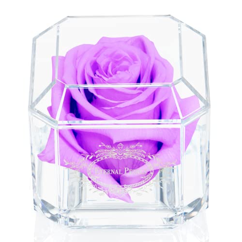 Eternal Petals A Rose That Lasts A Year - The Perfect Unique Gift for Women and Men, A Birthday Gift - White Gold Solo (Lilac) von Eternal Petals