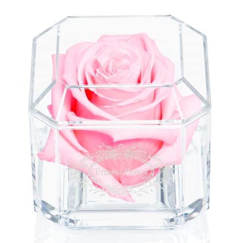 A 100% Real Rose That Lasts A Year - The Perfect Unique Gift for Women and Men, An Anniversary Gift, A Birthday Gift - White Gold Solo (Light Pink) von Eternal Petals