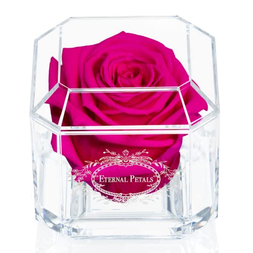 Eternal Petals A Rose That Lasts A Year - The Perfect Unique Gift for Women and Men, A Birthday Gift - White Gold Solo (Hot Pink) von Eternal Petals