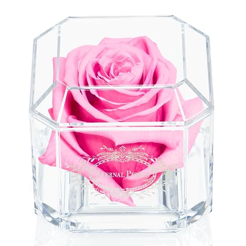 A 100% Real Rose That Lasts A Year - The Perfect Unique Gift for Women and Men, An Anniversary Gift, A Birthday Gift - White Gold Solo (Pink) von Eternal Petals