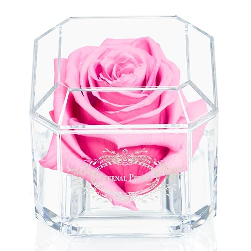 Eternal Petals A Rose That Lasts A Year - The Perfect Unique Gift for Women and Men, A Birthday Gift - White Gold Solo (Pink) von Eternal Petals