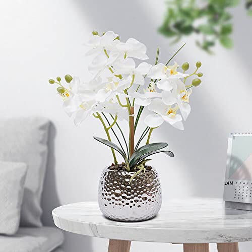 Zimmerpflanzen Orchidee Weiß Simulation Phalaenopsis, Modern Künstliche Phalaenopsis-Pflanze Wohnzimmer, Esstisch, Veranda, Teetisch für 13 * 13 * 39cm von Ethedeal