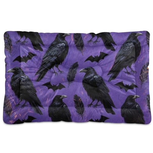 EtherSpher Halloween-Haustier-Matratze, waschbar, rutschfest, weich, bequem, für mittelgroße und große Hunde, 91,4 x 61 cm, Schwarz EtherSpher Halloween-Haustier-Matratze, waschbar, rutschfest, weich, bequem, für mittelgroße und große Hunde, 91,4 x 61 cm, Schwarz von EtherSpher