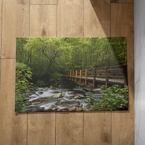 Ethereval Fußmatten Haustür Innen Sauberlaufmatte Waschbar Bunt Brücke Fußmatte Waschbar Ohne Rand Sauberlaufmatte 45X75cm von Ethereval