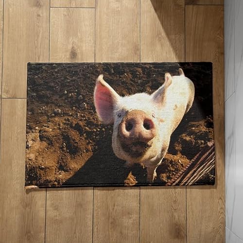 Ethereval Schmutzfangmatte Treppenstufe Außen Sauberlaufmatte Wash and Dry Schwein Schmutzfangmatte Innen Waschbar Bunt Eingangstürmatten 40X60cm Ethereval Schmutzfangmatte Treppenstufe Außen Sauberlaufmatte Wash and Dry Schwein Schmutzfangmatte Innen Waschbar Bunt Eingangstürmatten 40X60cm von Ethereval