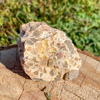 Roher Leopardit Jaspis Kristall/Leoparden Haut Stein Geist Vorfahren Tier Kommunikation Schutz Reise Jaguar Achat von EthericPulse