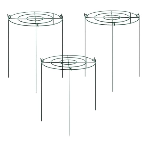 Etyrerre 3 Sets Pfingstrosen-Stützkäfig, Durchwuchsgitter mit 4 Beinen, Pflanzenstützstrebe, Starker Blumenstützring, Einfach zu Verwenden Etyrerre 3 Sets Pfingstrosen-Stützkäfig, Durchwuchsgitter mit 4 Beinen, Pflanzenstützstrebe, Starker Blumenstützring, Einfach zu Verwenden von Etyrerre