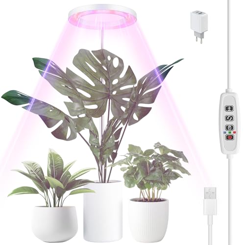 Euakee Pflanzenlampe LED Vollspektrum, 155 CM Höhenverstellbare Pflanzenlicht mit 70 LEDs für Zimmerpflanzen, 3 Lichter Modi und 10 Helligkeit, Zeitschaltuhr 3/9/12 Std für Indoor Pflanzen (Weiß) von Euakee