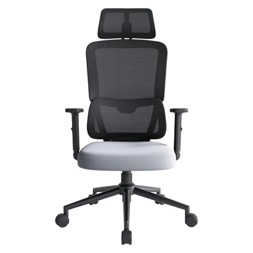 Eucladoceros Bürostuhl Ergonomischer Schreibtischstuhl, Drehstuhl mit Automatischer Lordosenstütze, Aufzug Armlehne, Höhenverstellung und Wippfunktion, Bürostuhl 150 kg, Grau von Eucladoceros
