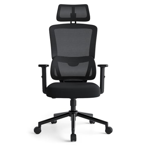 Eucladoceros Bürostuhl Ergonomisch Schreibtischstuhl mit Automatischer Lordosenstütze, Arretierbare Rückenlehne mit Vier Positionen, Bürostuhl 150 kg Schwarz von Eucladoceros