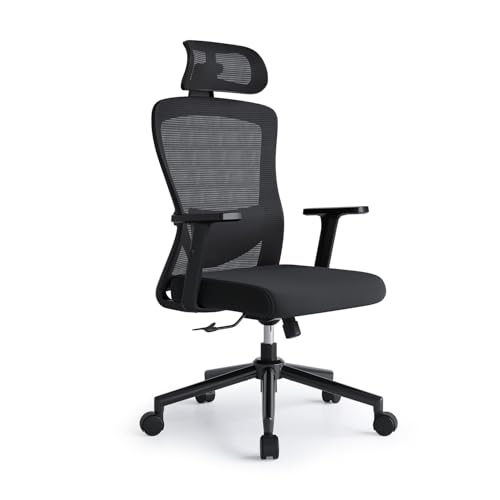Eucladoceros Bürostuhl Ergonomisch Schreibtischstuhl mit Verstellbarer Lendenwirbelstütze, 2D-Kopfstütze und Armlehne,Ergonomischer Bürostuhl mit 120° Wippfunktion,Drehstuhl, Bürostuhle 150kg,Schwarz von Eucladoceros