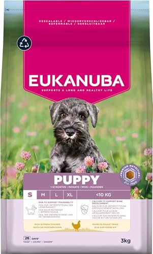 Eukanuba Welpenfutter mit frischem Huhn für kleine Rassen, Premium Trockenfutter für Junior Hunde, 3 kg Eukanuba Welpenfutter mit frischem Huhn für kleine Rassen, Premium Trockenfutter für Junior Hunde, 3 kg von Eukanuba