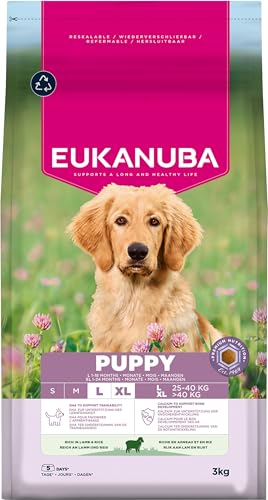 Eukanuba Welpenfutter mit Lamm und Reis für große Rassen - Premium Trockenfutter für Junior Hunde, 3 kg Eukanuba Welpenfutter mit Lamm und Reis für große Rassen - Premium Trockenfutter für Junior Hunde, 3 kg von Eukanuba