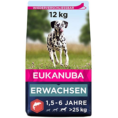 Eukanuba Hundefutter mit Lachs & Gerste für große Rassen - Trockenfutter für ausgewachsene Hunde, 12 kg Eukanuba Hundefutter mit Lachs & Gerste für große Rassen - Trockenfutter für ausgewachsene Hunde, 12 kg von Eukanuba