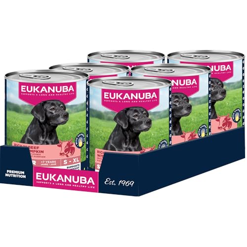 Eukanuba Senior Hundefutter Nass mit Rind und Kürbis, Getreidefreies Premium Nassfutter für ältere Hunde, 6 x 400 g Dosen Eukanuba Senior Hundefutter Nass mit Rind und Kürbis, Getreidefreies Premium Nassfutter für ältere Hunde, 6 x 400 g Dosen von Eukanuba